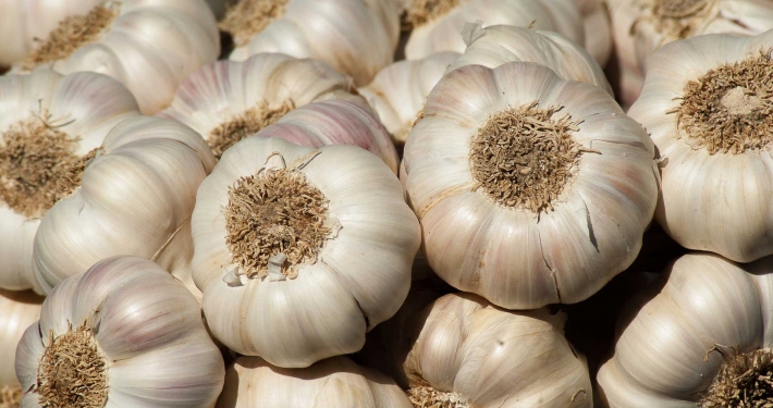 Teste di aglio per preparare il macerato per piante - Inorto