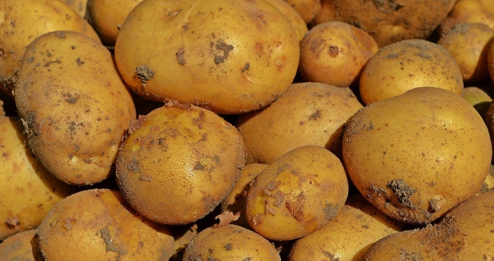 Varietà di patate adatte per la semina - Inorto