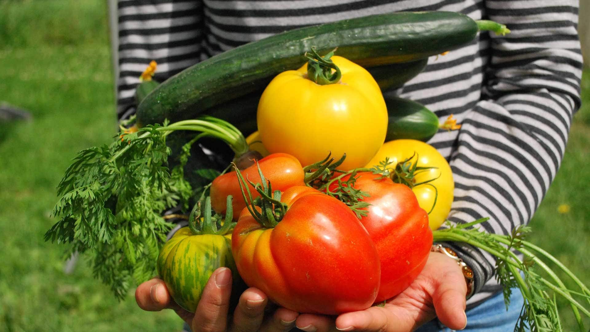 inOrto Bonduelle | domande e risposte - come abbinare pomodori, melanzane, peperoni, zucchine, cetrioli