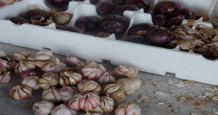 Aglio raccolto - InOrto