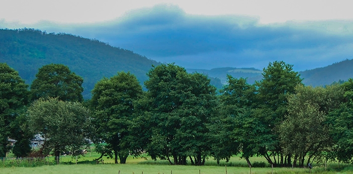 Cosa coltivare su un terreno di montagna - Inorto