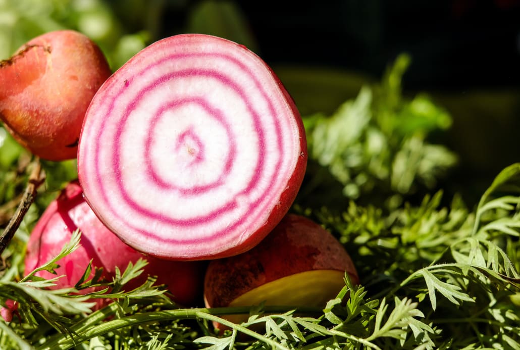 Barbabietola d ìi Chioggia - InOrto