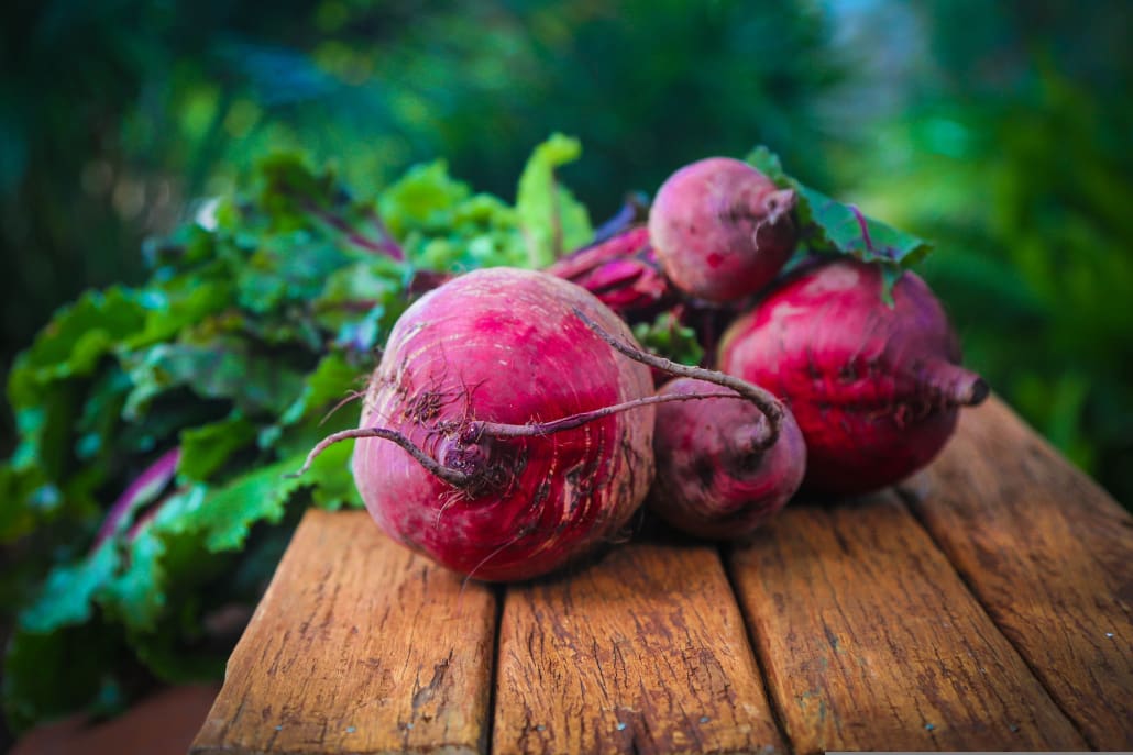 Barbabietole rosse raccolte - InOrto