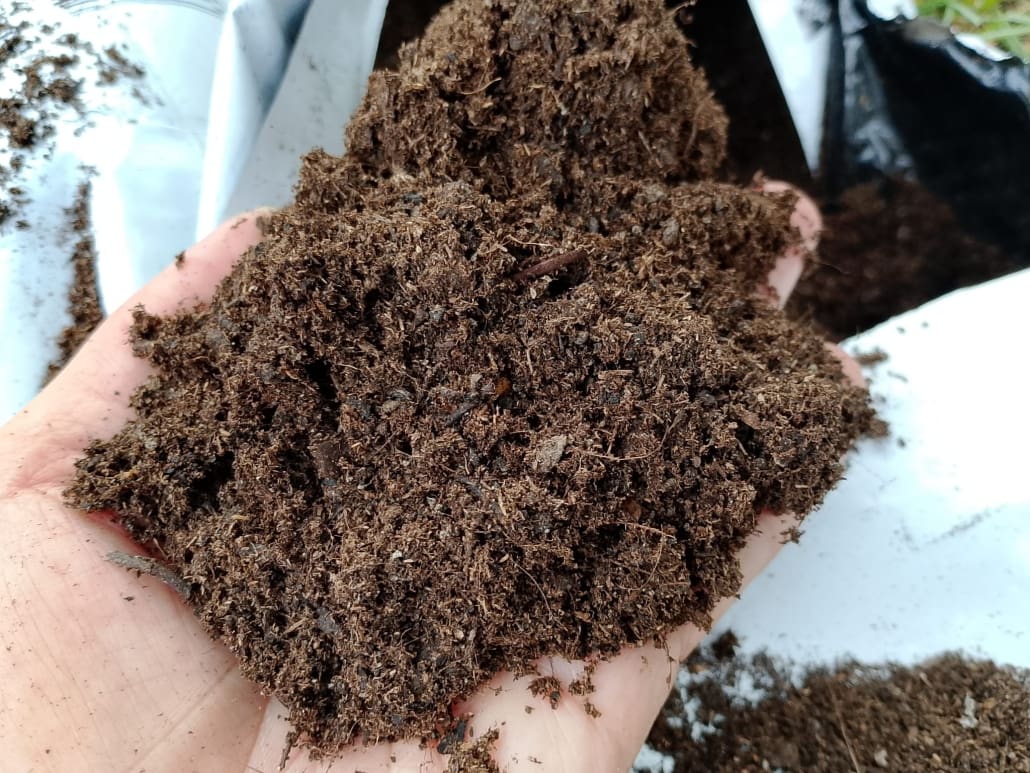 Terriccio per la coltivazione in vaso - InOrto