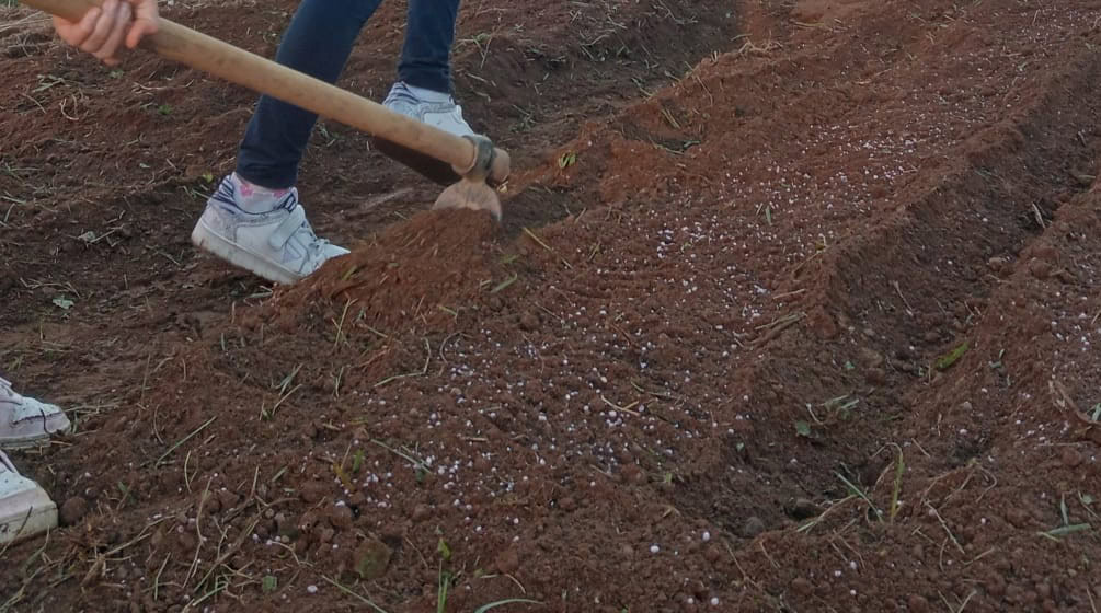 Tracciamento solchi per semina - InOrto