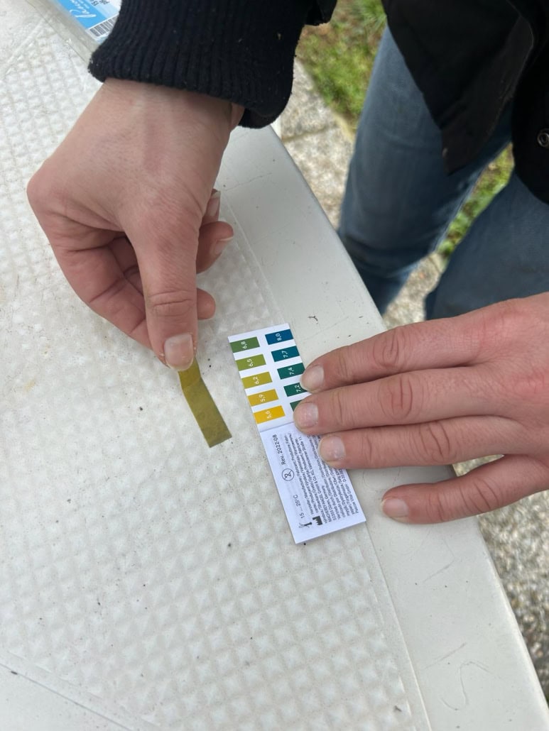 Cartina di tornasole per PH terreno - InOrto