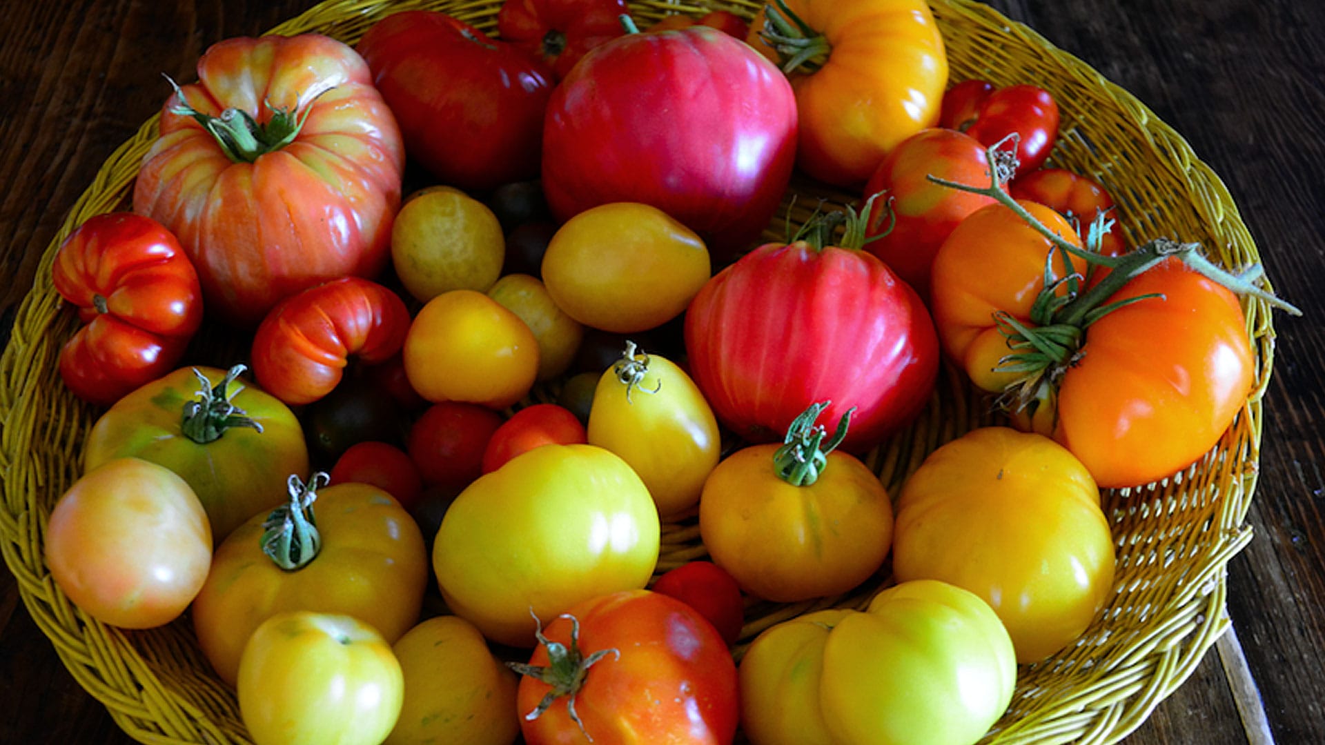 semina di pomodori - Domande e Risposte Orto e Frutta