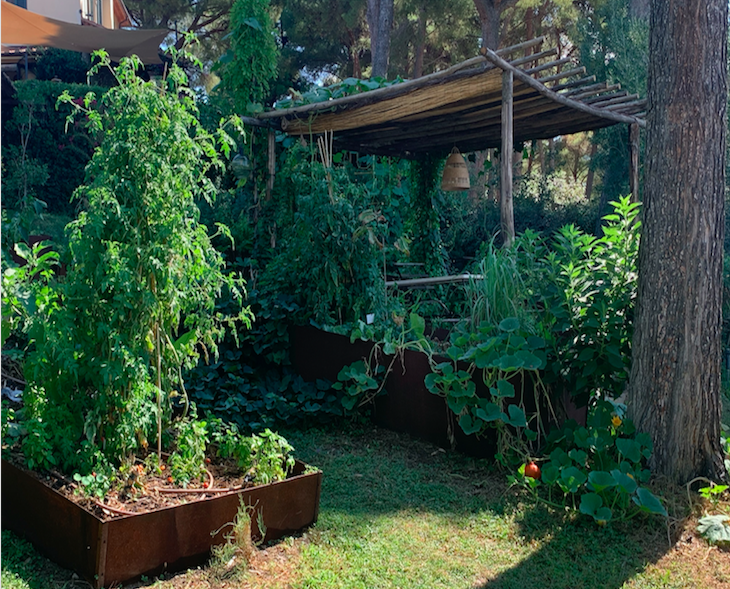 Pergola con zucche nell'Orto di Poggio ai Santi