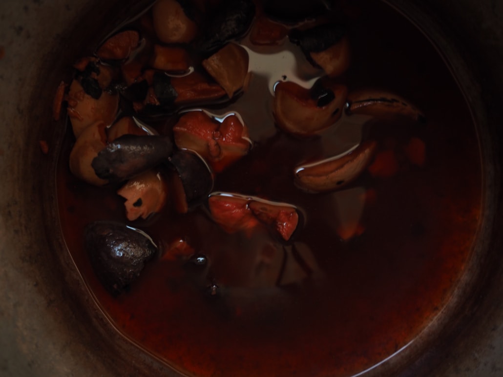 Noccioli di Avocado_InOrto
