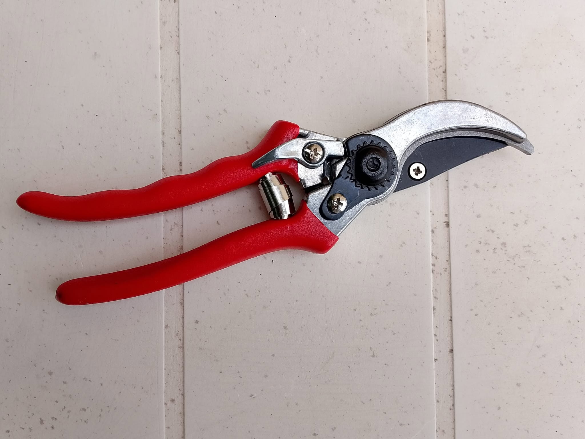 cesoia Cesoia - InOrto