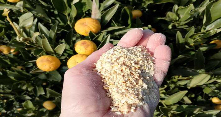 Manciata di lupini macinati - InOrto