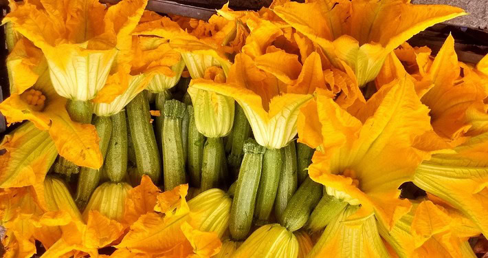 Zucchine con fiori persistenti - InOrto
