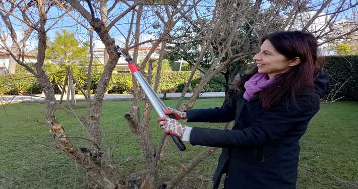 Troncarami per potatura - InOrto