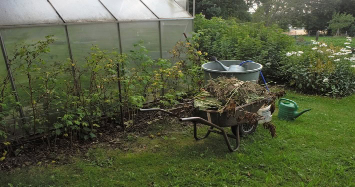 Un orto in inverno -InOrto