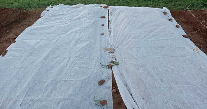 Tessuto non tessuto -InOrto