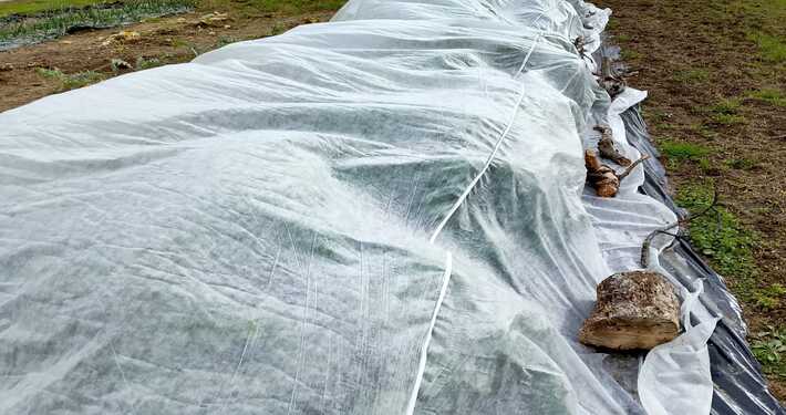 Tessuto non tessuto -InOrto