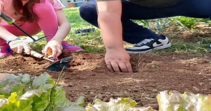 Orto didattico - InOrto