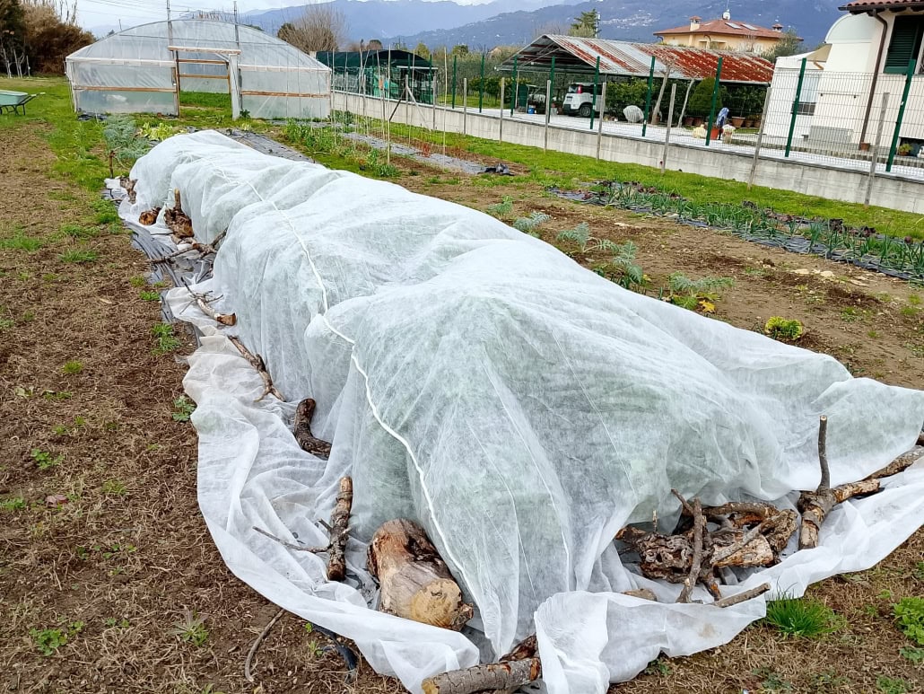 Tessuto non tessuto -InOrto