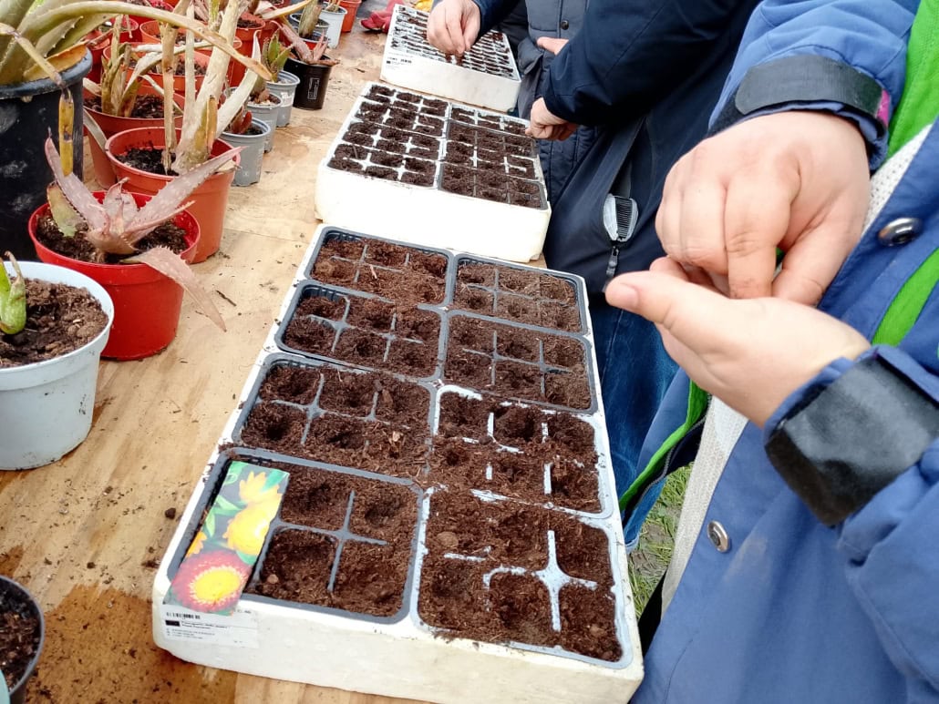 Semina in semenzaio -InOrto